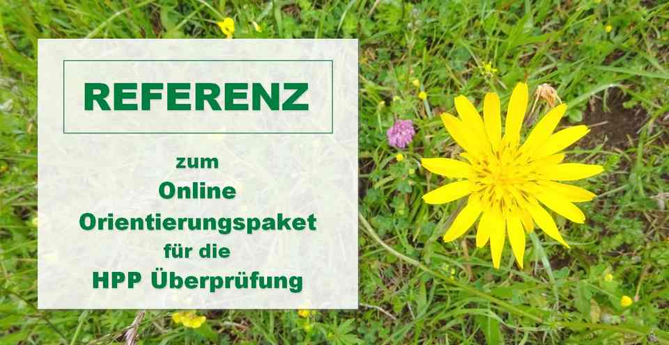 Artikelbild-Referenz-OPSM-Gelbe-Blume-960x496-31