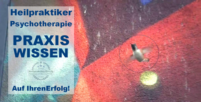 HeilpraktikerErfolg-iKVT-Praktisch-Gemacht-Kolibri-vor-Grafitti-682