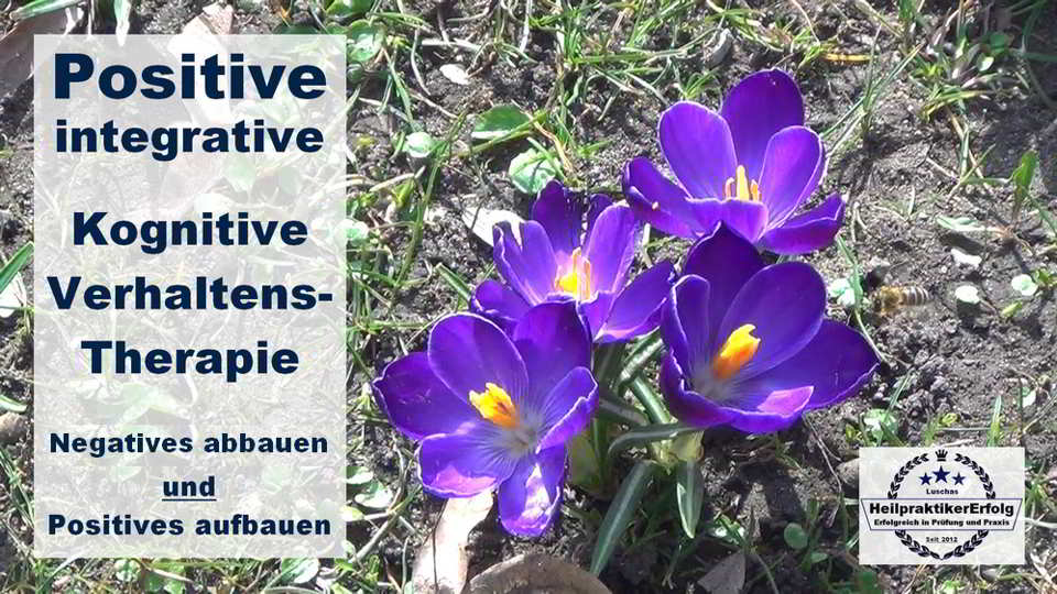 HeilpraktikerErfolg-Positive-Integrative-Kognitive-Verhaltens-Therapie-Luschas-2-1000x562